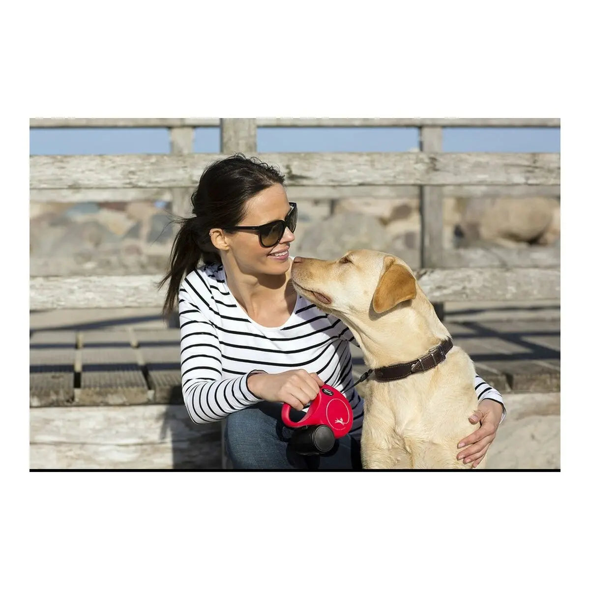 Dog Lead Flexi New Classic L Red-1