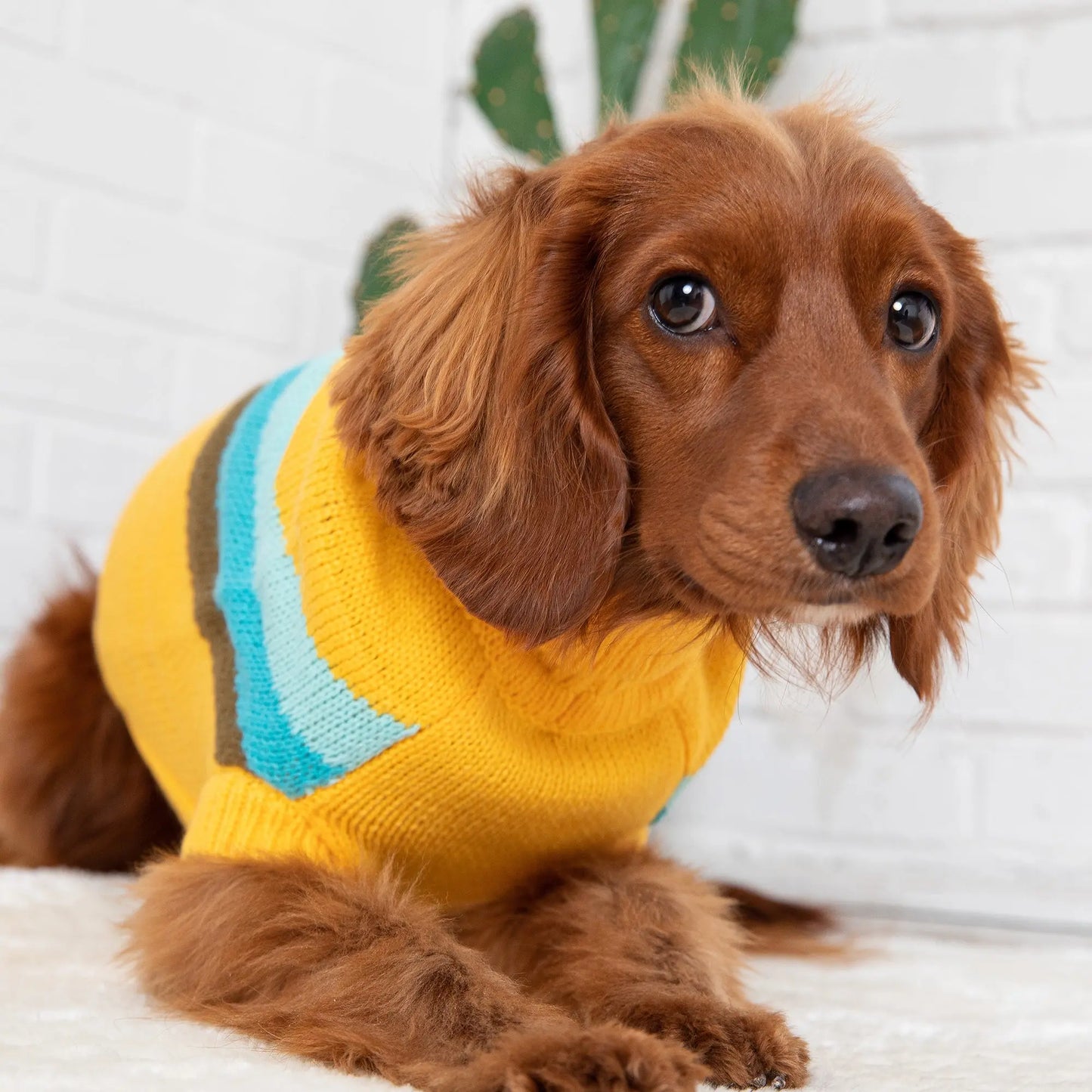 Alpine Sweater - Yellow GF Pet