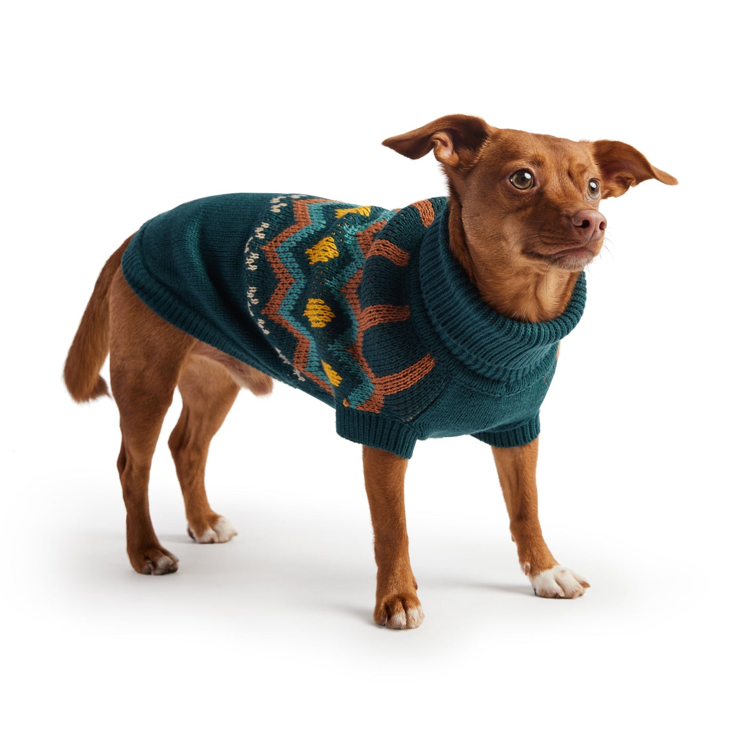 Pull Heritage Bleu Sarcelle | GF PET GF Pet