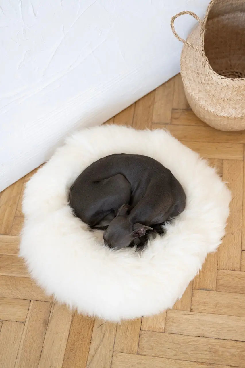 Round Natural Sheepskin Pet Bed - White-1