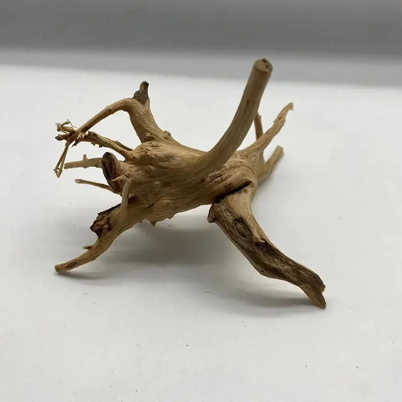 Natural Tree Trunk Driftwood Aquarium Fish Tank Plant Wood Decoration Ornament Fish Tank Decoration Fish Tank Accessories Zooko