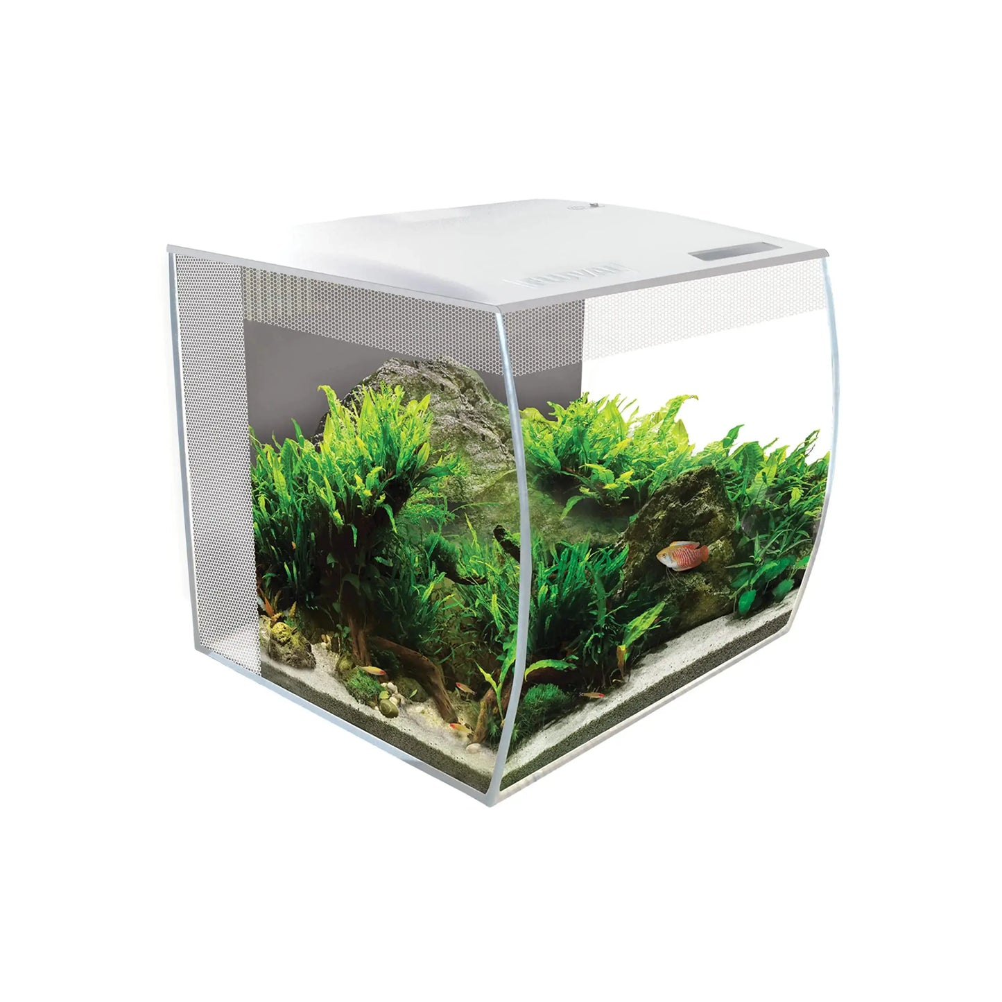 Fluval Flex 9 Aquarium Kit - Fish Tank for Fish & Plants - Comes with LED Lights Filtration System & More - 36" x 18" x 18" - 34 L 9 Gal. - White Zooko