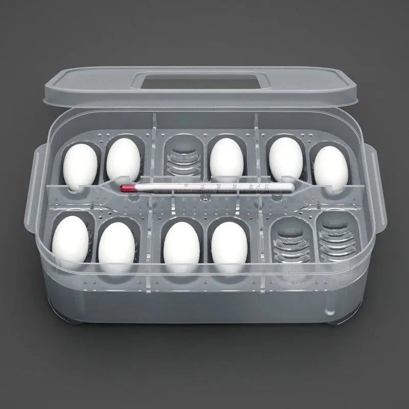 Gecko Egg Incubator: The Perfect Home For Reptile Eggs-2