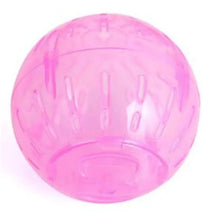 Hamster Haven Rolling Exercise Ball-1