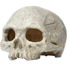 BCSIUHD Aquarium Ornament - Emulational Skull Decor Resin Decorations Zooko