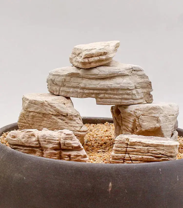 Pierres d’aquarium YZHZOM de 11 lb, petites pierres Mille Couches naturelles pour aquariums Zooko