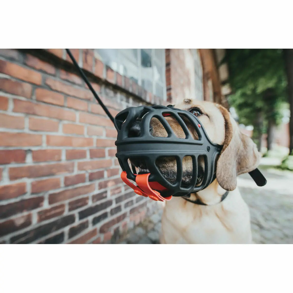 Muzzle Hunter Albury Black Size 1 (45 cm) (21 cm) (5 cm)-13