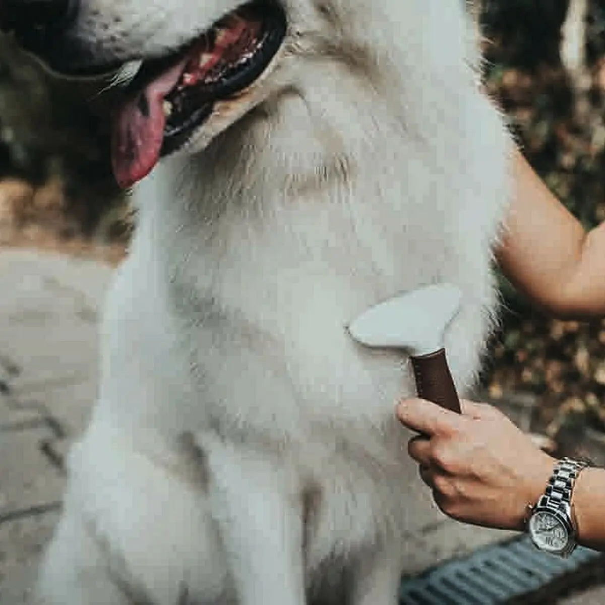 Detangling Hairbrush Hunter Rake-2