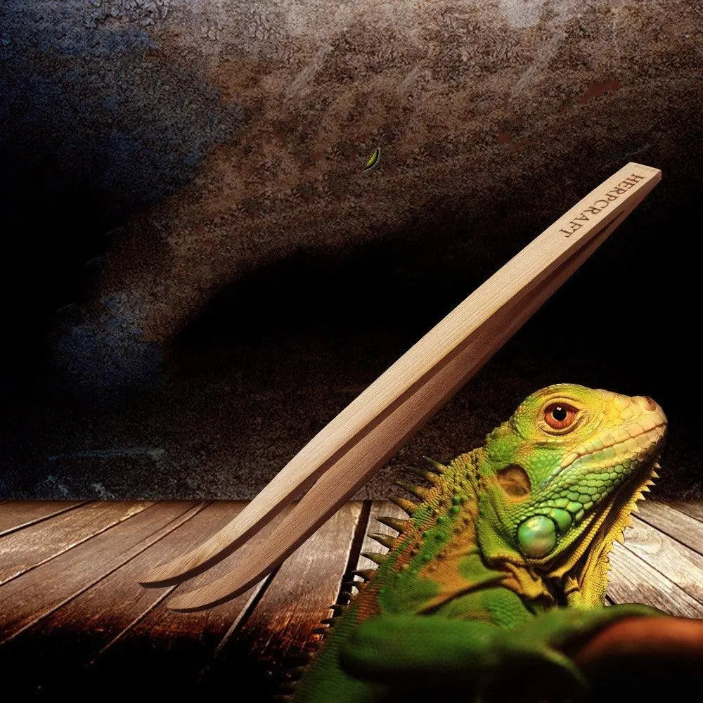 Pet Reptile Bamboo Tweezers Set - Essential Feeding Tools For Crawling Pets-0