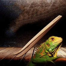 Pet Reptile Bamboo Tweezers Set - Essential Feeding Tools For Crawling Pets-0