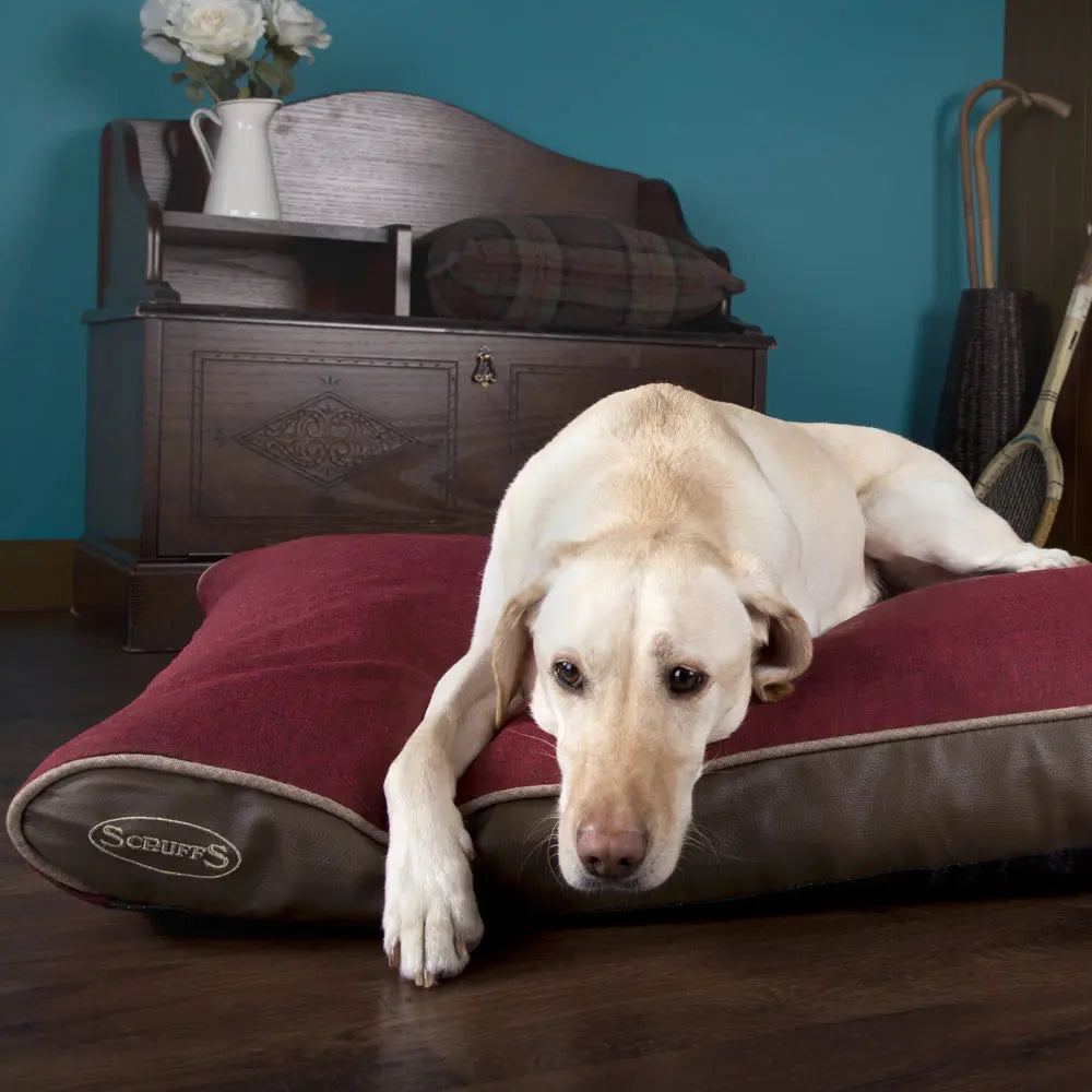 Hilton Memory Foam Orthopaedic Dog Bed / Dog Mattress (Burgundy, Brown, Grey) by Scruffs-0