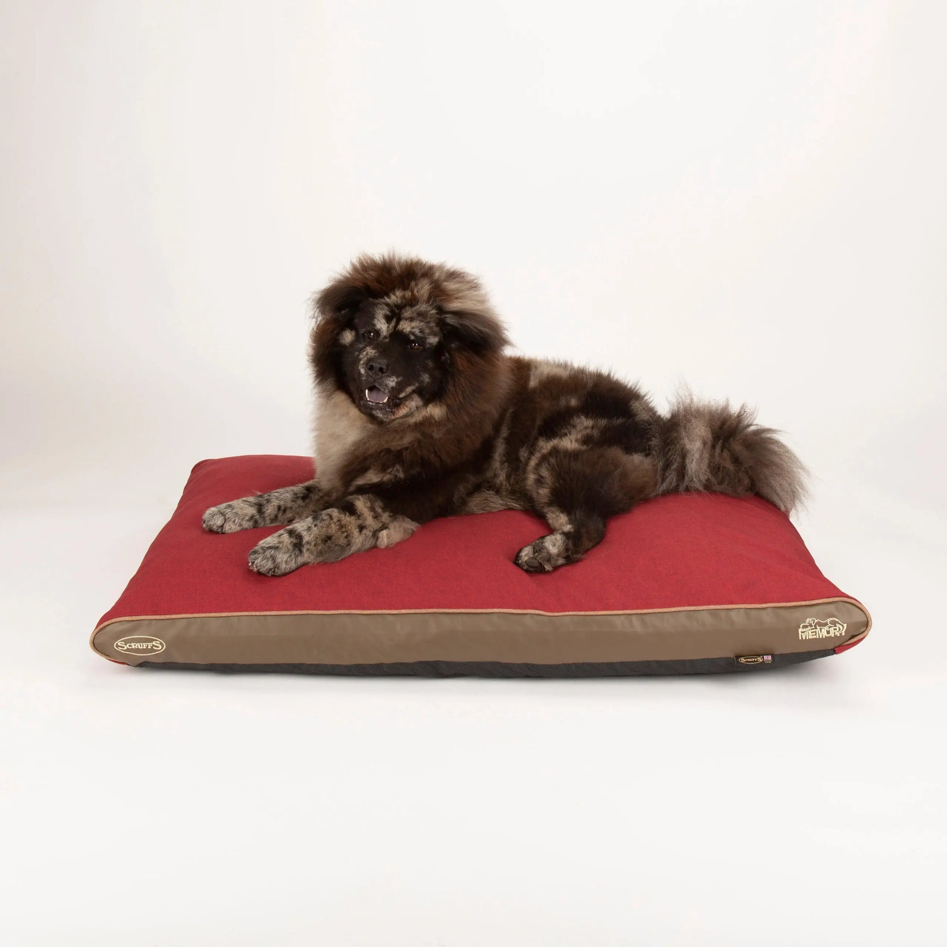 Hilton Memory Foam Orthopaedic Dog Bed / Dog Mattress (Burgundy, Brown, Grey) by Scruffs-12