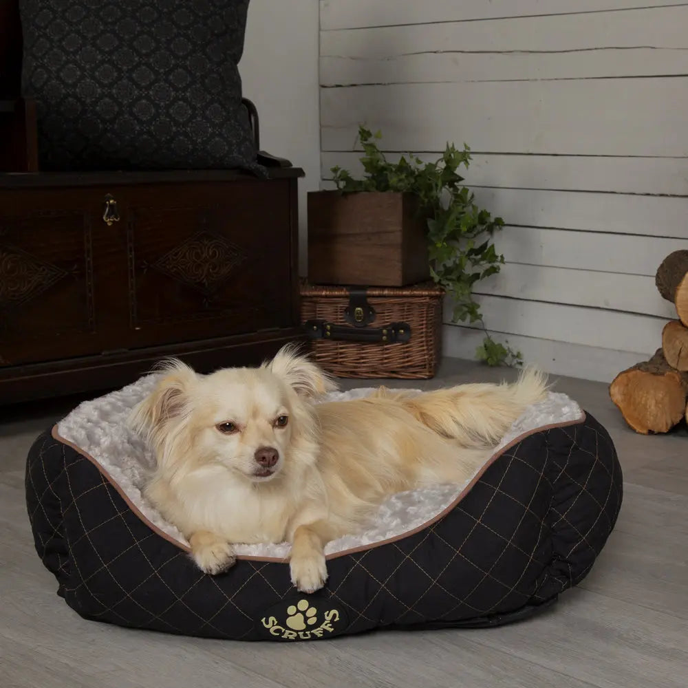Wilton Box Dog Bed (in Blue, Grey, Black, Brown) by Scruffs-6