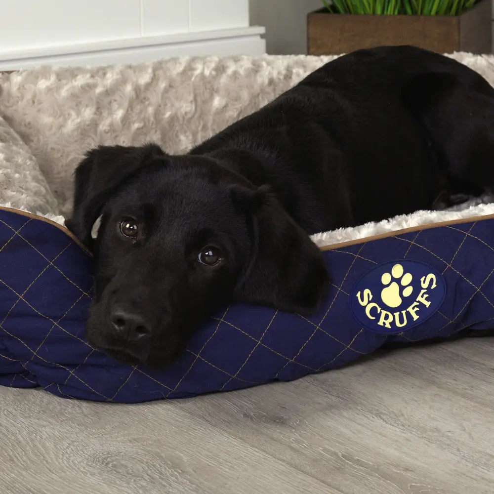 Wilton Box Dog Bed (in Blue, Grey, Black, Brown) by Scruffs-8