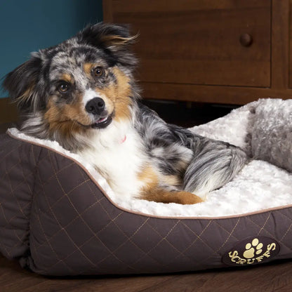 Wilton Box Dog Bed (in Blue, Grey, Black, Brown) by Scruffs-11