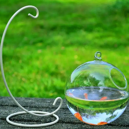 Mini Glass Ball Fish Tank With Hanging Bracket-4