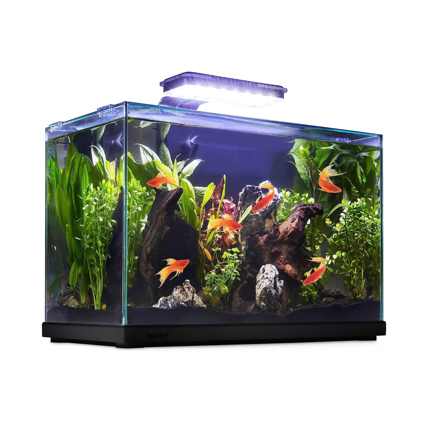 imagitarium Glass Versa Aquarium 9.5 Gallons Zooko