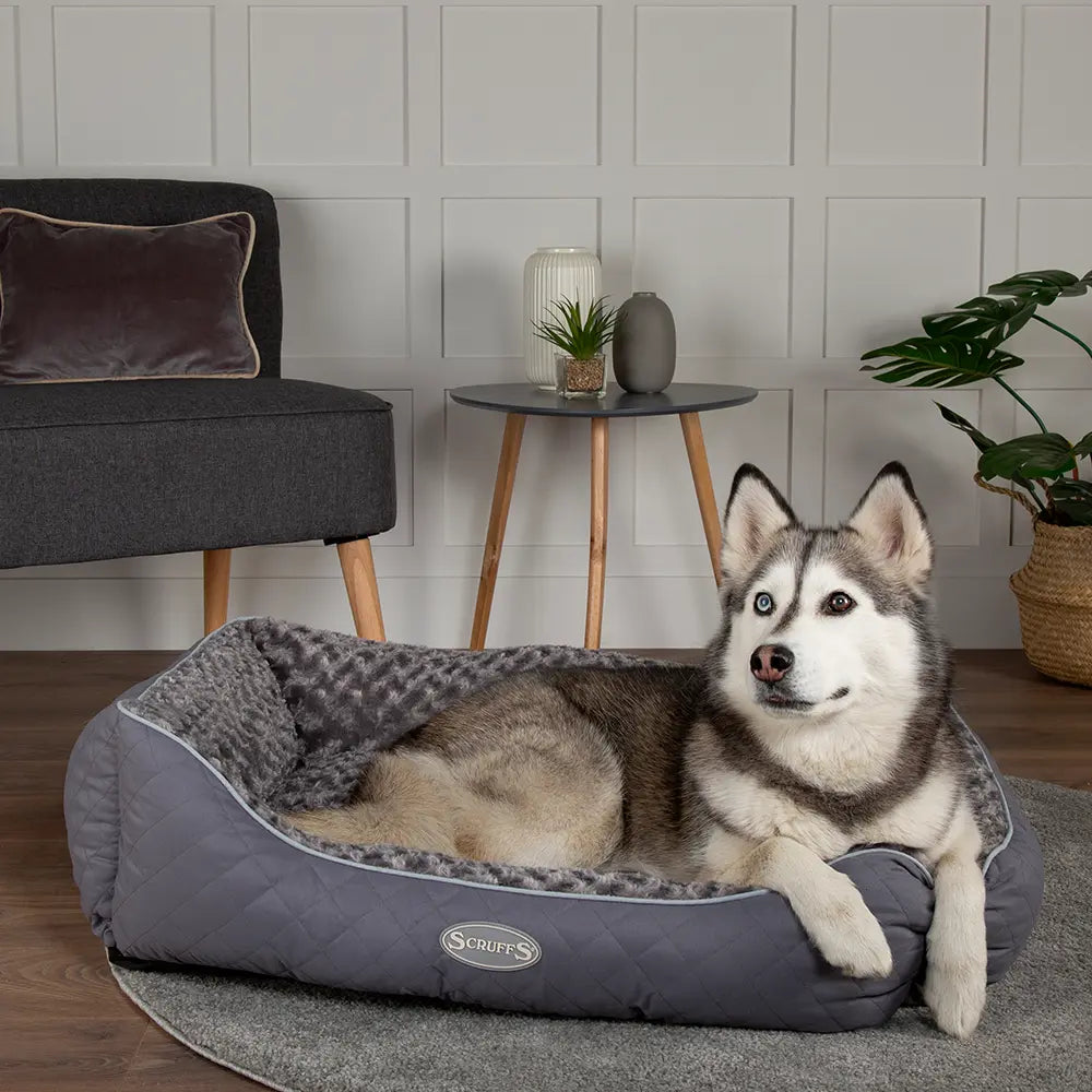 Wilton Box Dog Bed (in Blue, Grey, Black, Brown) by Scruffs-0
