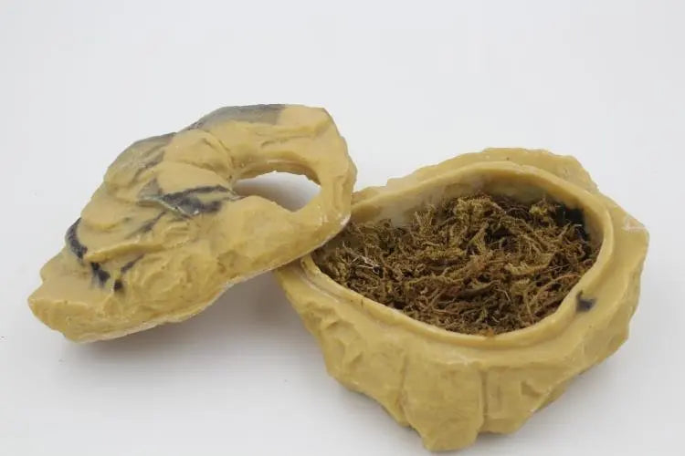 Rock Hideaway: The Ultimate Reptile Sanctuary-4