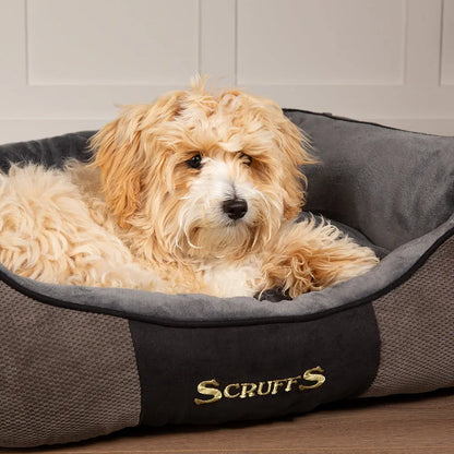 Chester Box Dog Bed (in Chocolate Brown, Dark Grey or Graphite Grey) by Scruffs-1
