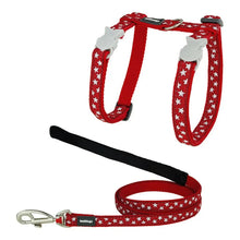 Cat Harness Red Dingo Style Red Star White Strap-0