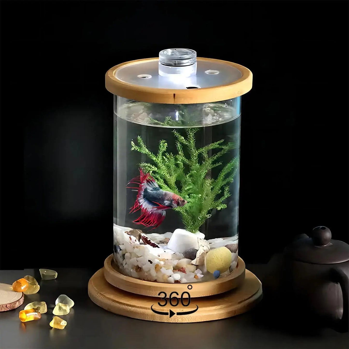 Small Betta Fish TankFish Tank Starter Kit Aquarium Tank Kit with LED Lighting Fish Bowl Accessories for Turtle Reptile Shrimp Crab Insects as Decoration36 Ounces Zooko