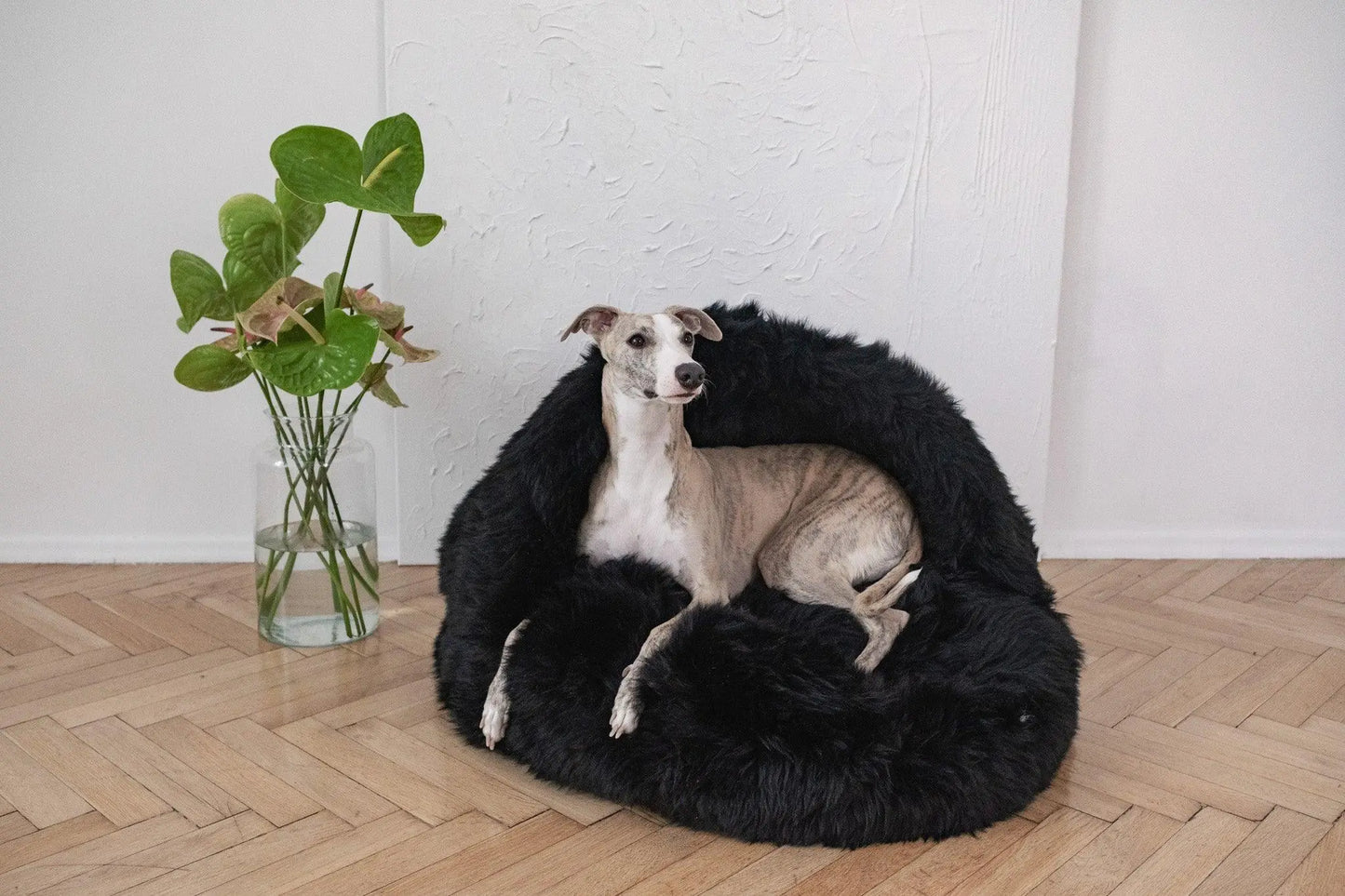 Natural Sheepskin Pet Cave - Black-0