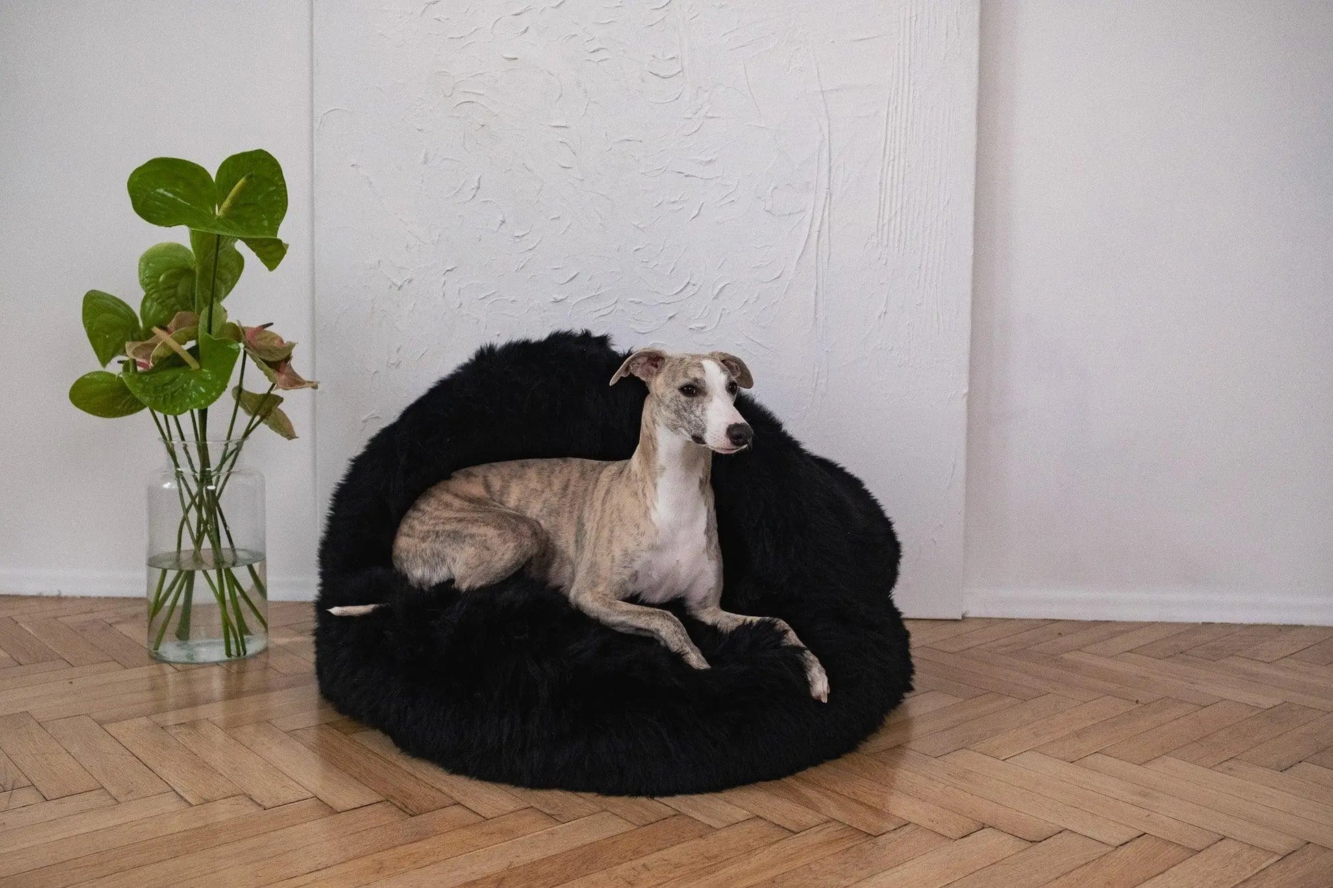 Natural Sheepskin Pet Cave - Black-2