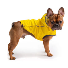 Reversible Elasto-Fit Raincoat - Yellow GF Pet