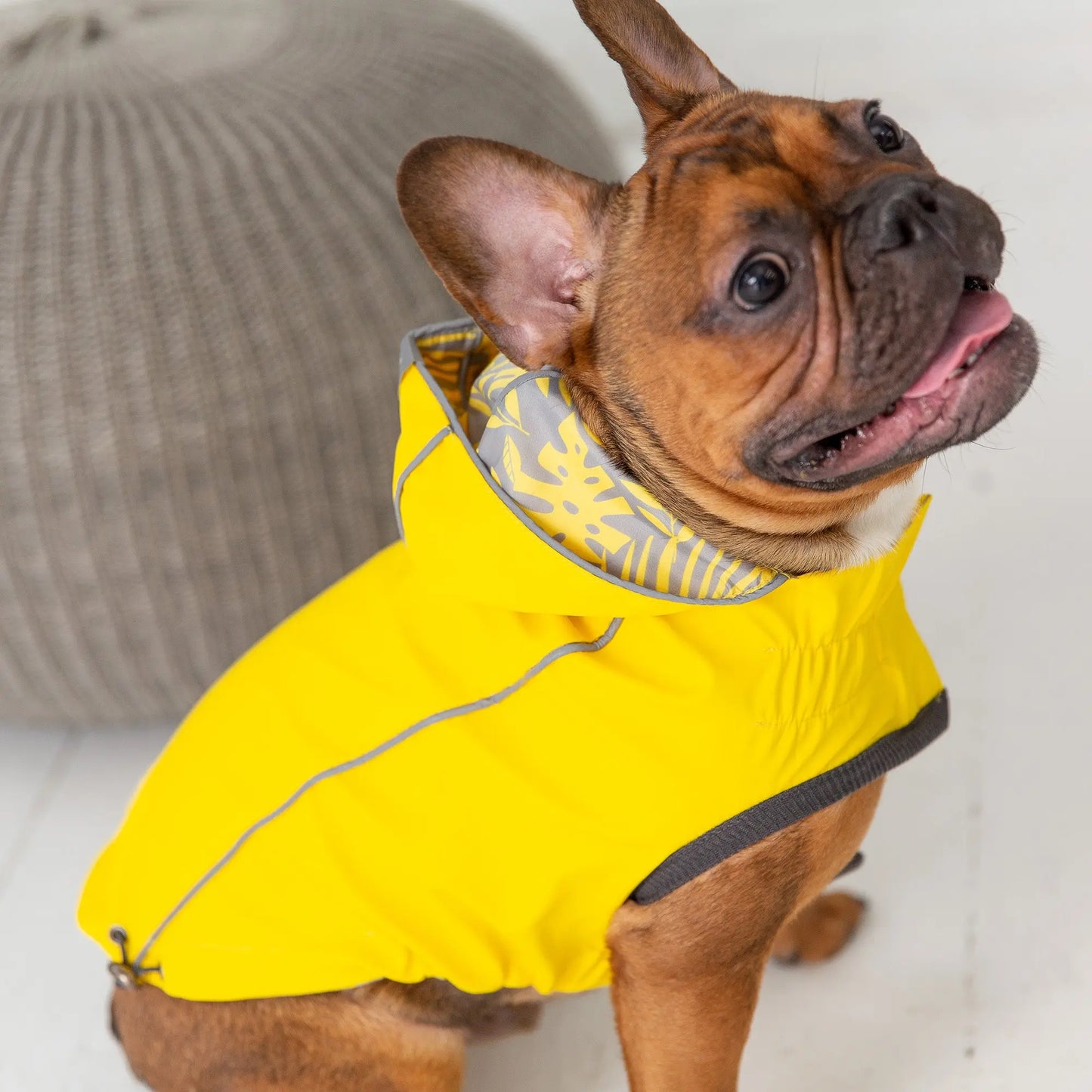 Reversible Elasto-Fit Raincoat - Yellow GF Pet