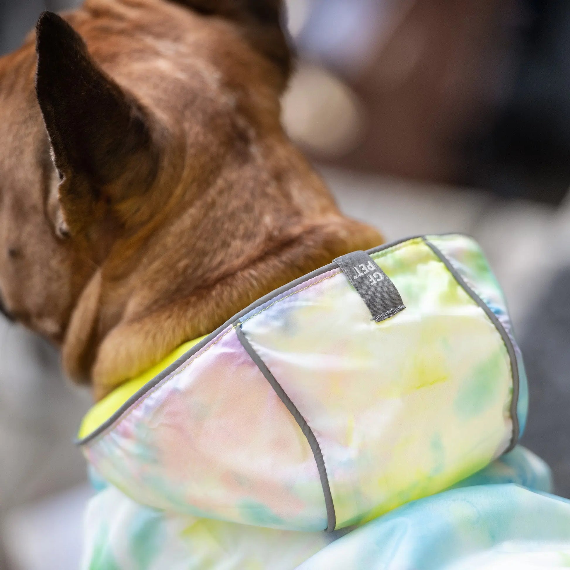 Reversible Raincoat - Neon Yellow With Tie Dye GF Pet