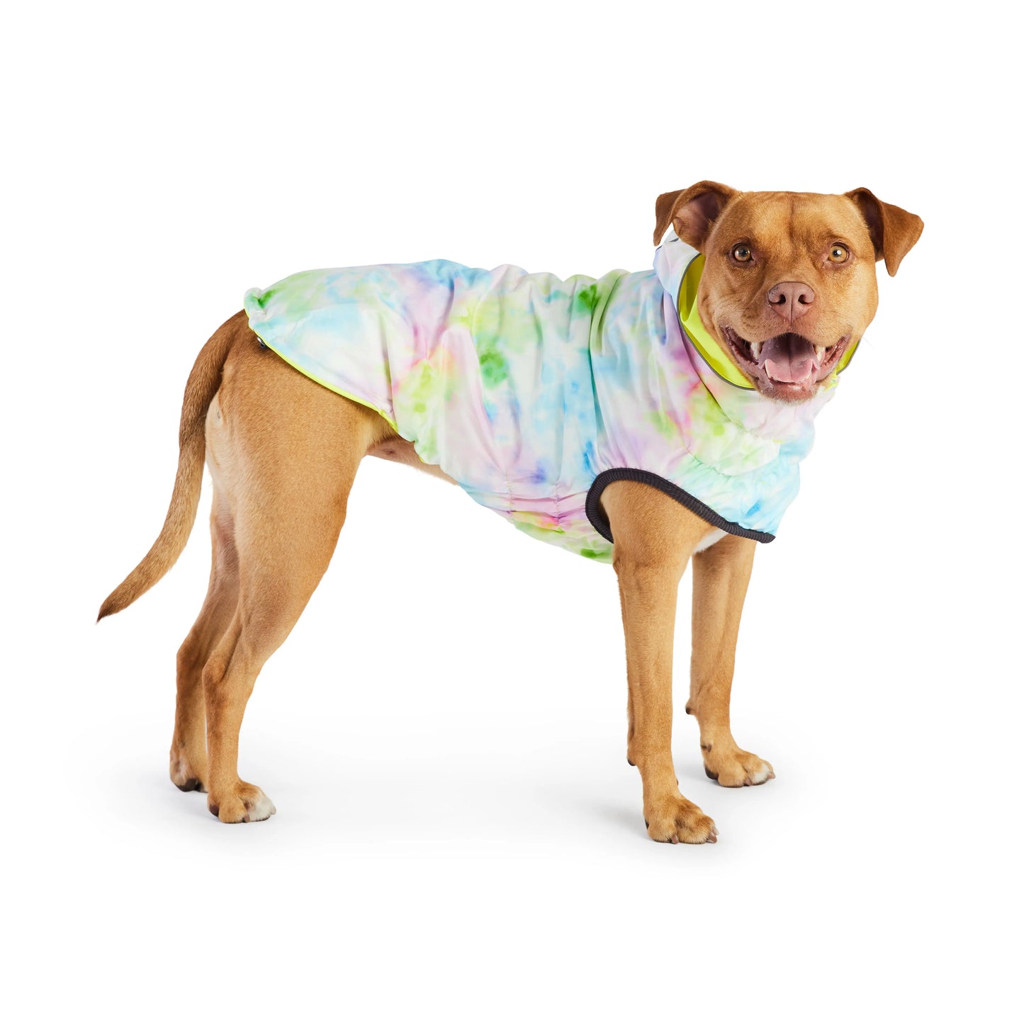 Reversible Raincoat - Neon Yellow With Tie Dye GF Pet