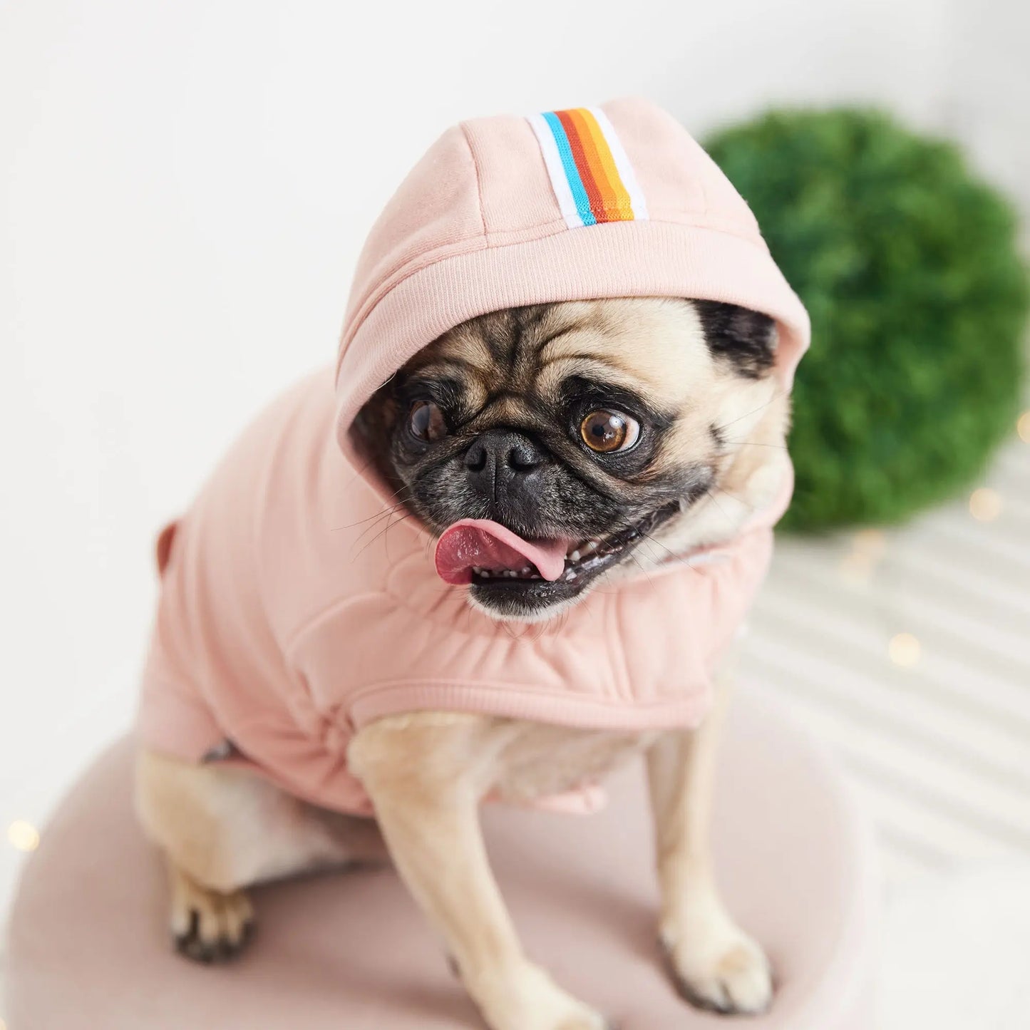 Urban Hoodie - Pink GF Pet