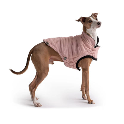 Reversible Chalet Jacket - Pink GF Pet