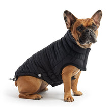 Reversible Chalet Jacket - Black GF Pet