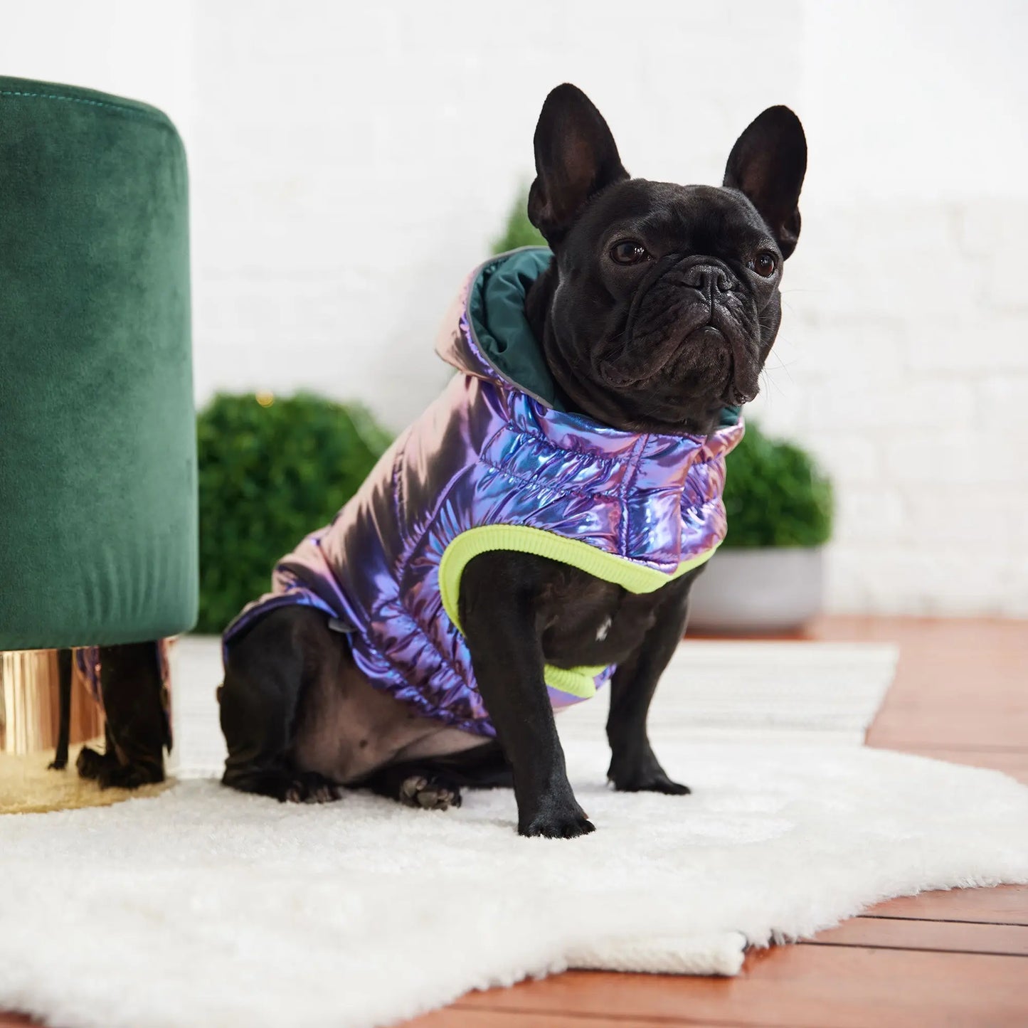 Recycled Parka - Iridescent GF Pet