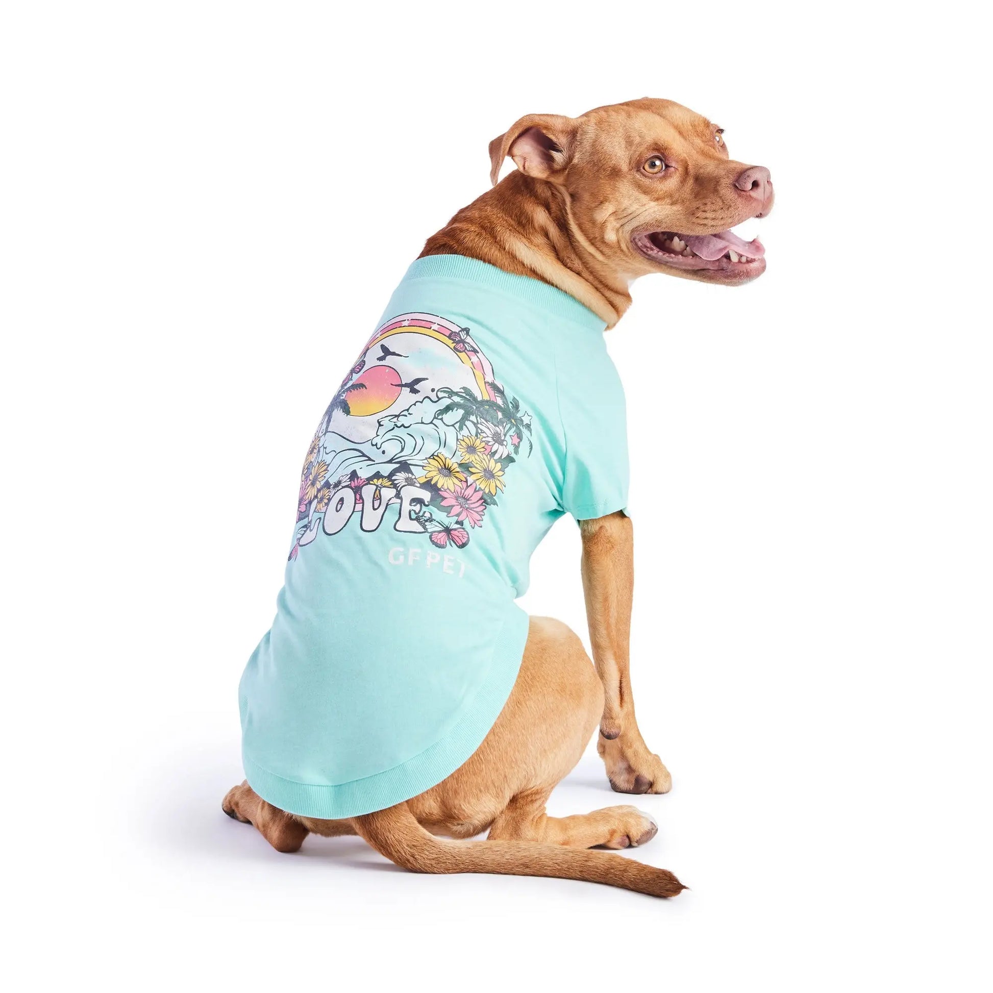 T-shirt graphique - Aqua GF Pet