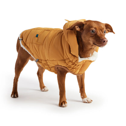 The Puff Parka - Yellow GF Pet