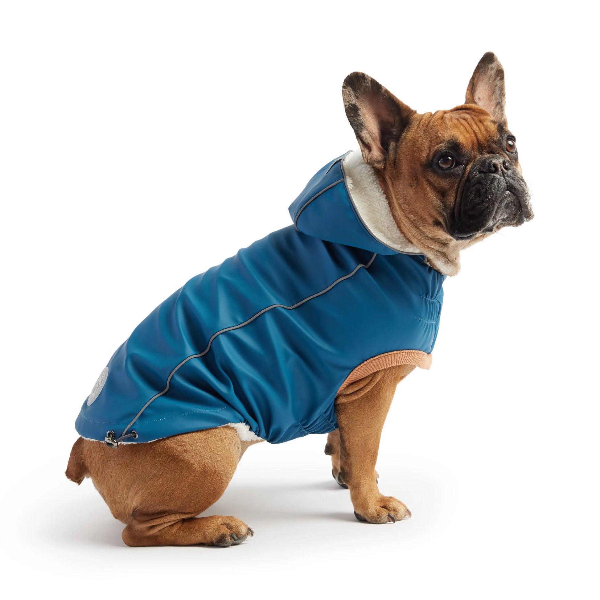 Insulated Raincoat - Dark Blue GF Pet