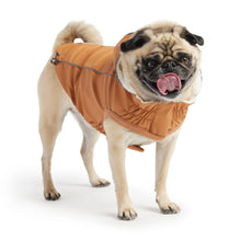Insulated Raincoat - Hazel GF Pet