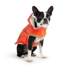 Insulated Raincoat - Orange GF Pet