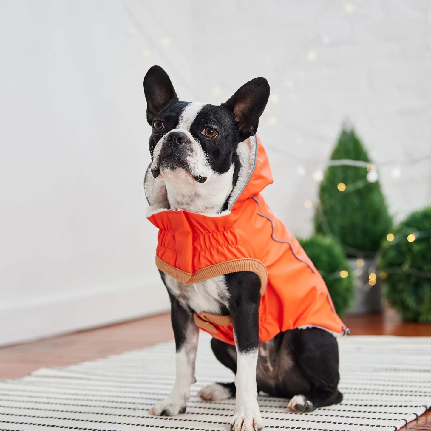Insulated Raincoat - Orange GF Pet