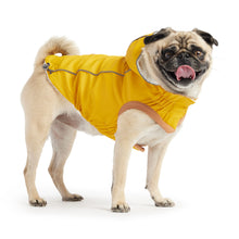 Insulated Raincoat - Yellow GF Pet