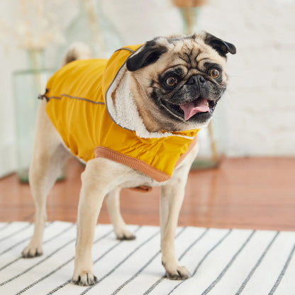 Insulated Raincoat - Yellow GF Pet