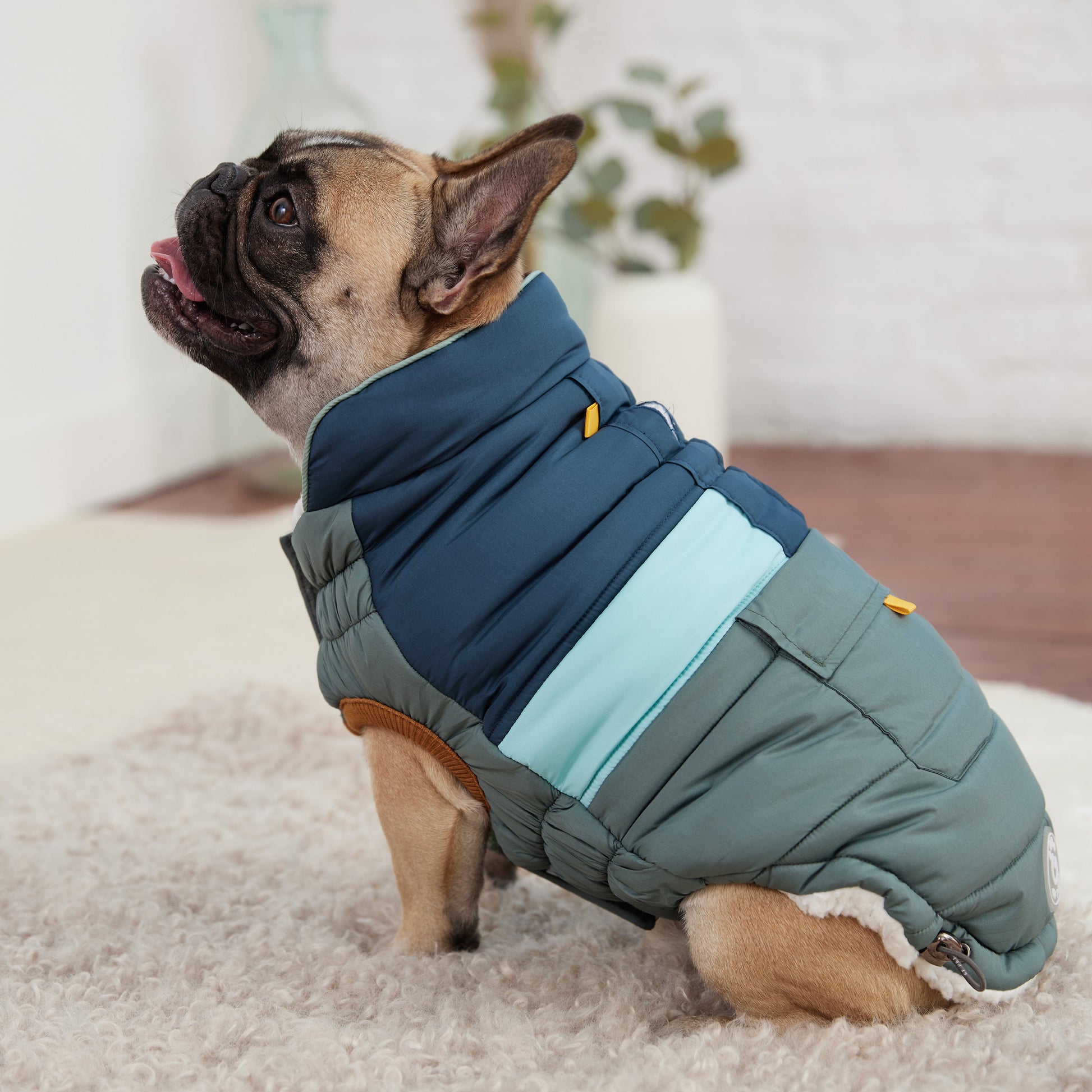 Manteau Camplife Puffer Saug GF Pet
