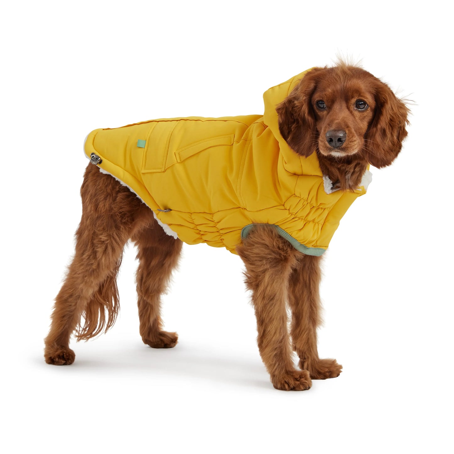 Parka Arctic - Jaune GF Pet