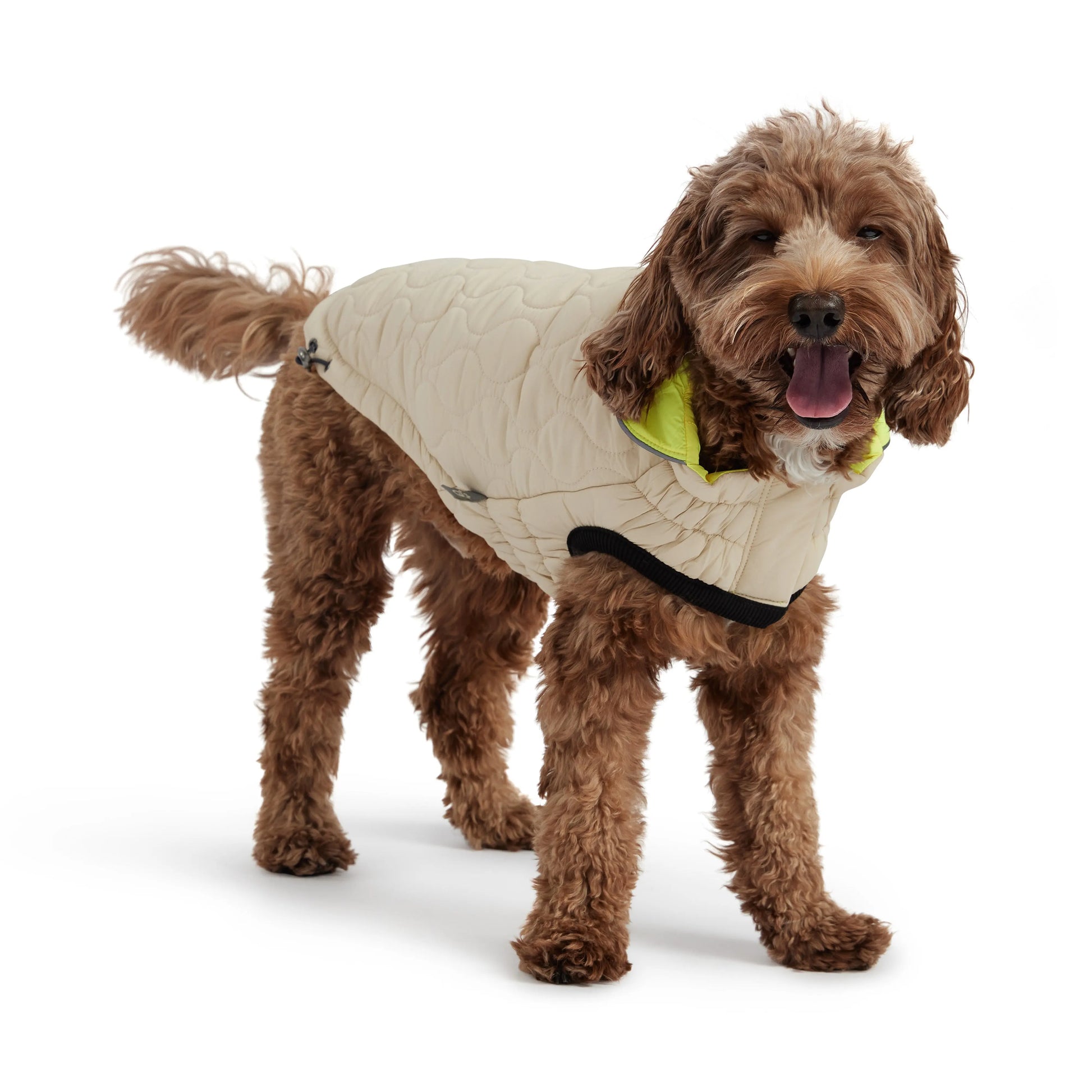 Veste réversible pour chien GF Pet
