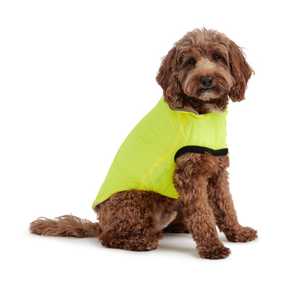 Veste réversible pour chien GF Pet