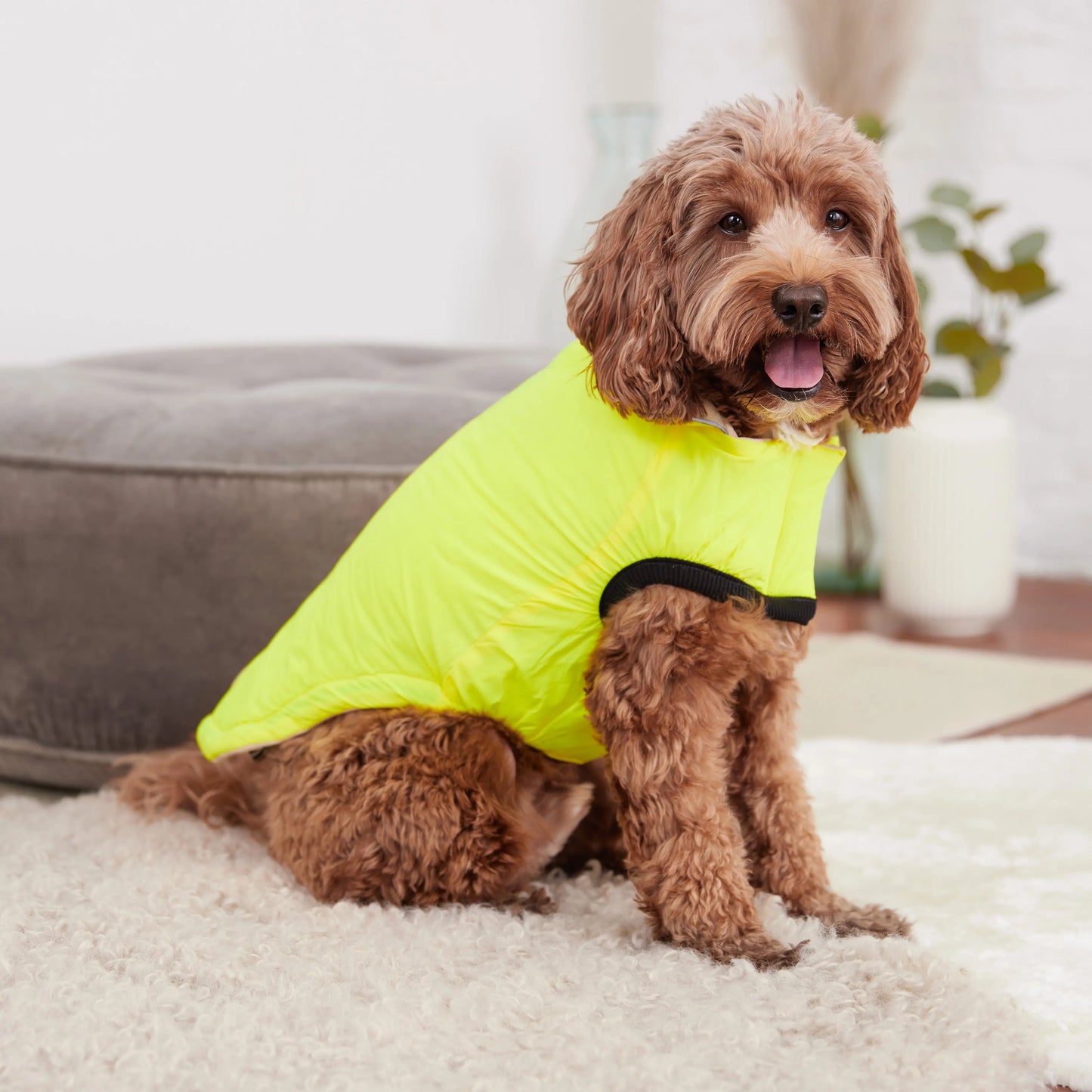 Veste réversible pour chien GF Pet