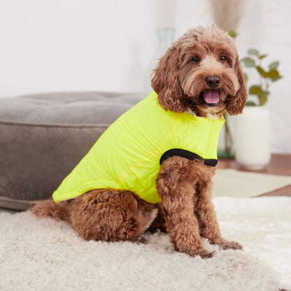 Veste réversible pour chien GF Pet